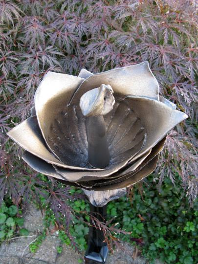 Brons.10.6 bloem prijscode **