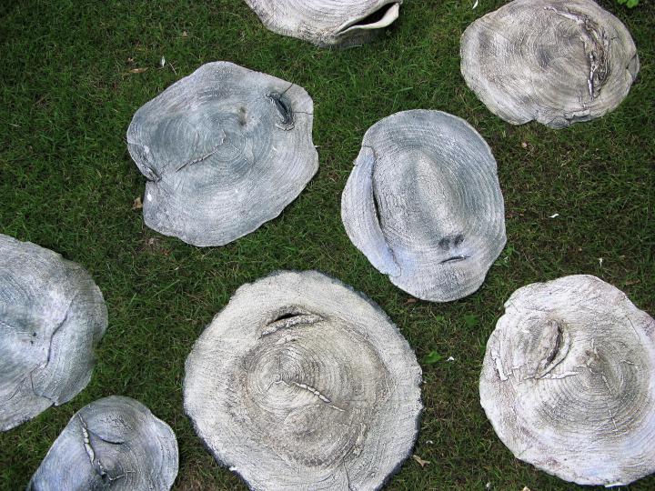 Thema.12.7 prijscode n.t.k.