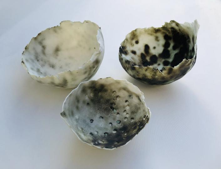 Lv.2.4 WIT drietal met zaden prijscode **